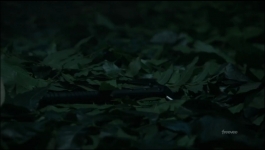 Almost Paradise - Season 02 Episode 08